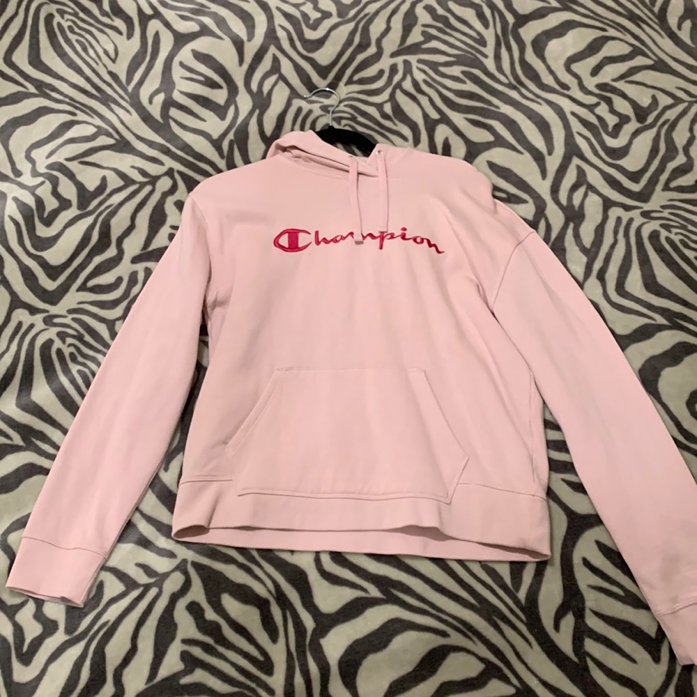 embroidered champion hoodie